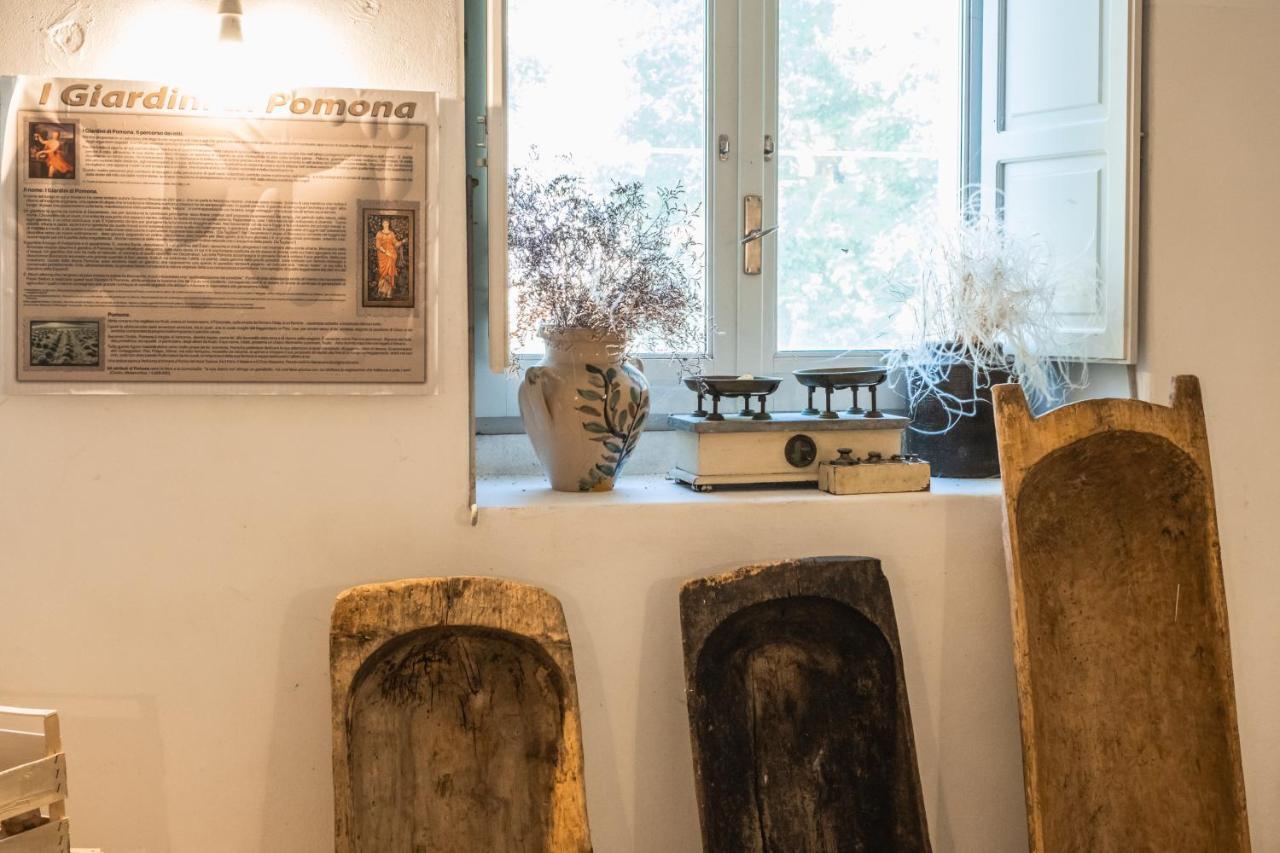Ostello Dei Giardini Di Pomona Cisternino Εξωτερικό φωτογραφία